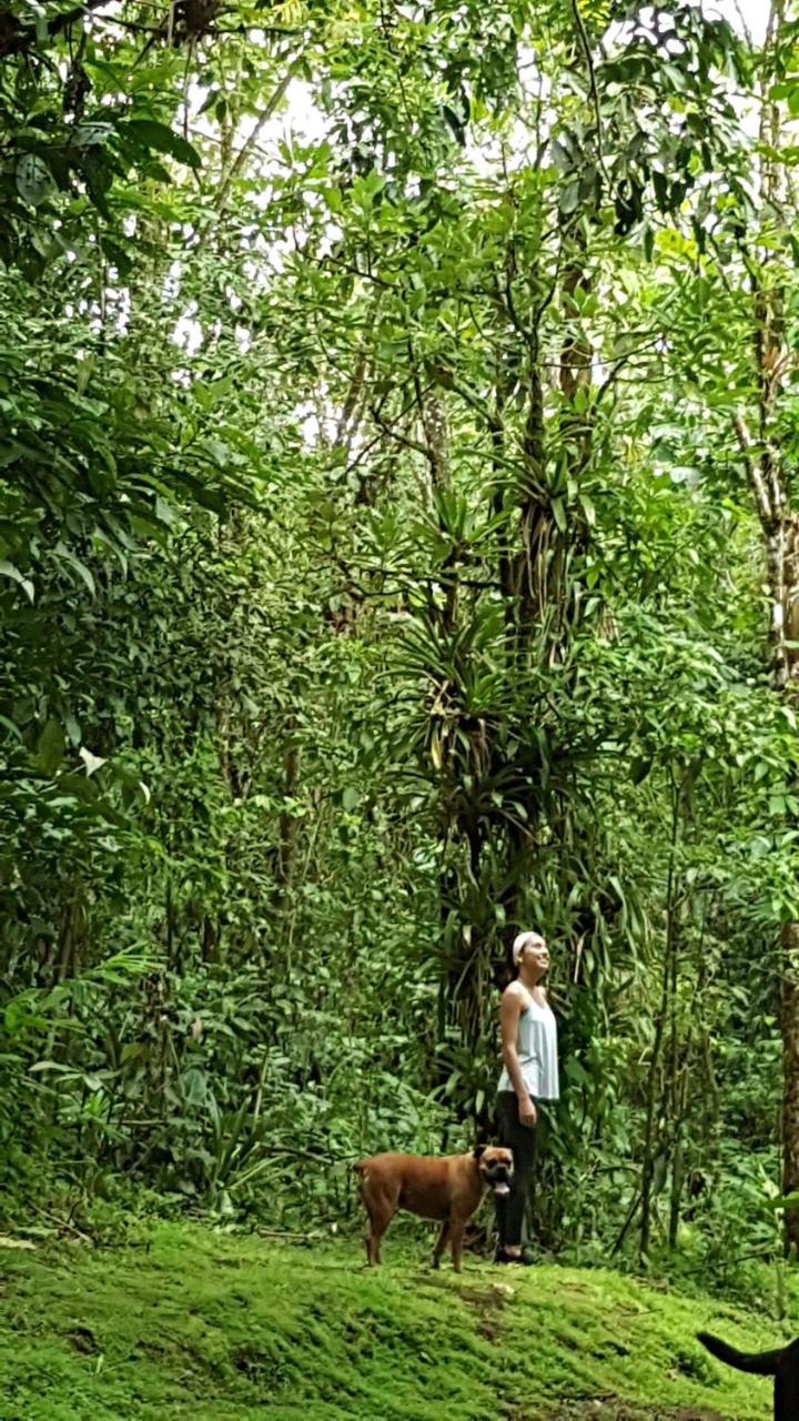 Hotel Brisas Arenal La Fortuna Екстериор снимка